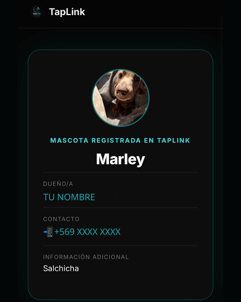 TapLink Pet