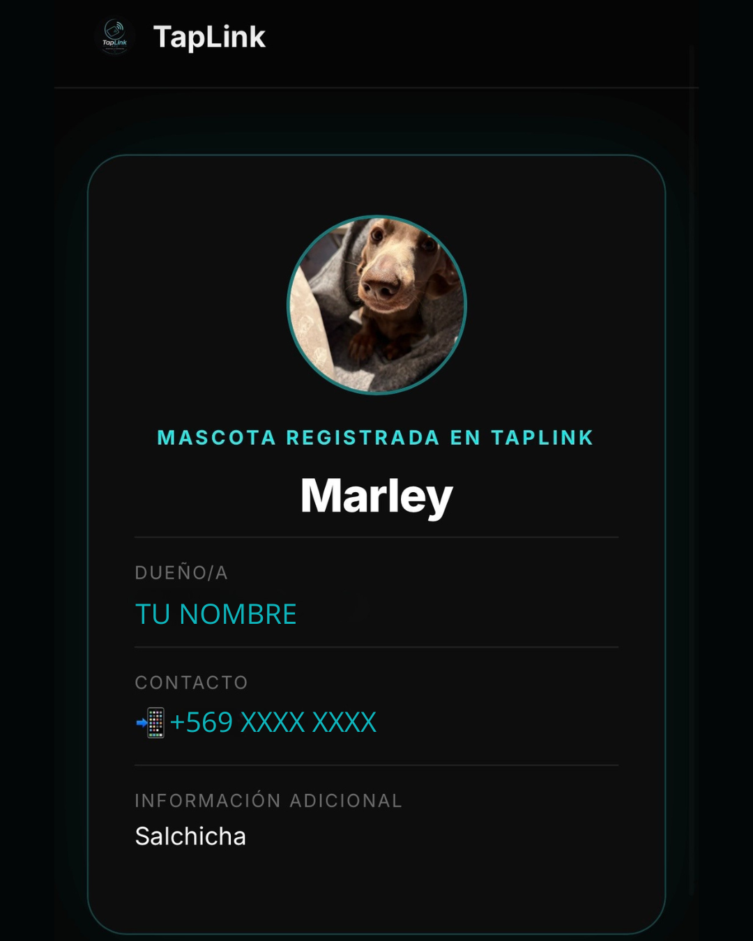 TapLink Pet