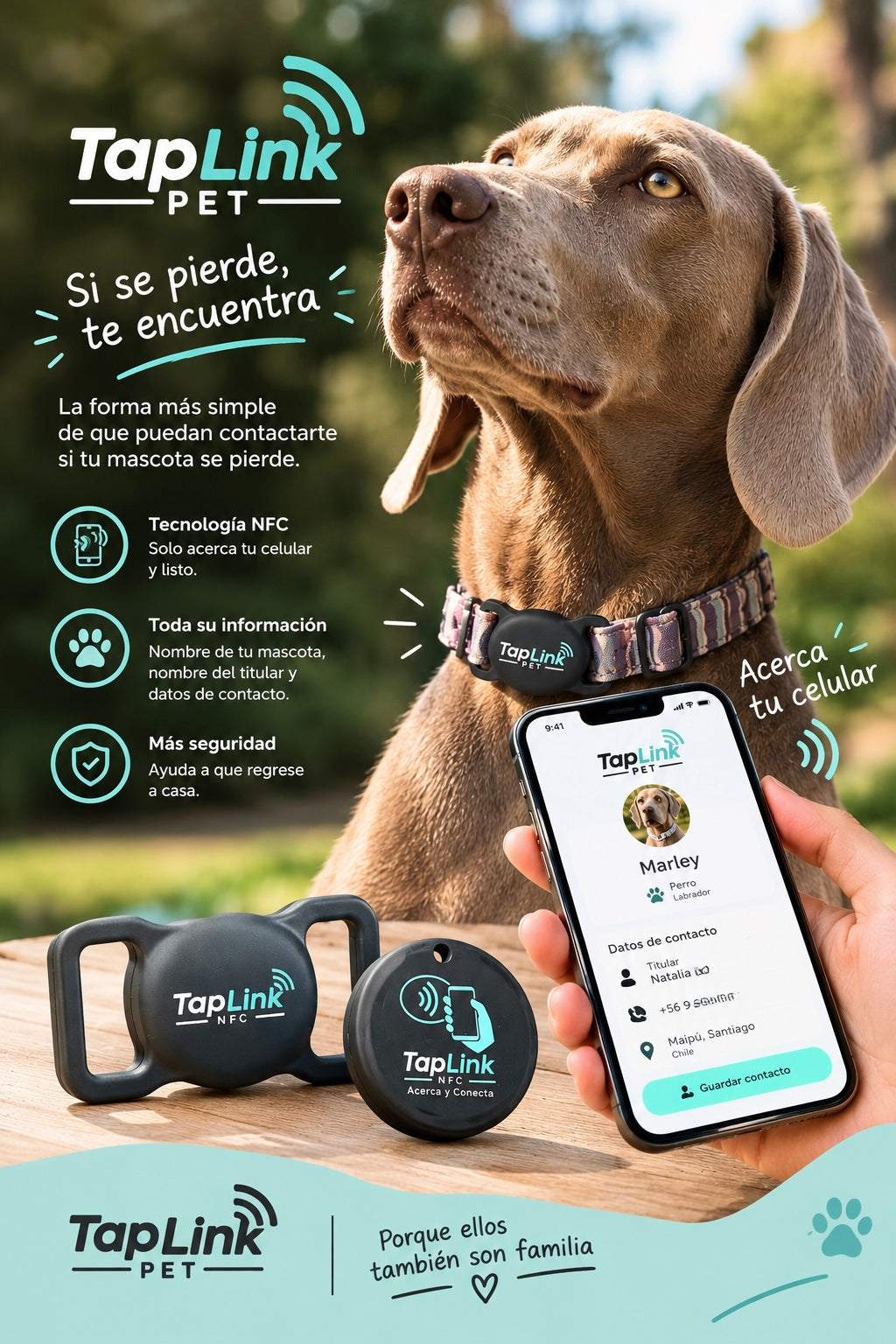 TapLink Pet
